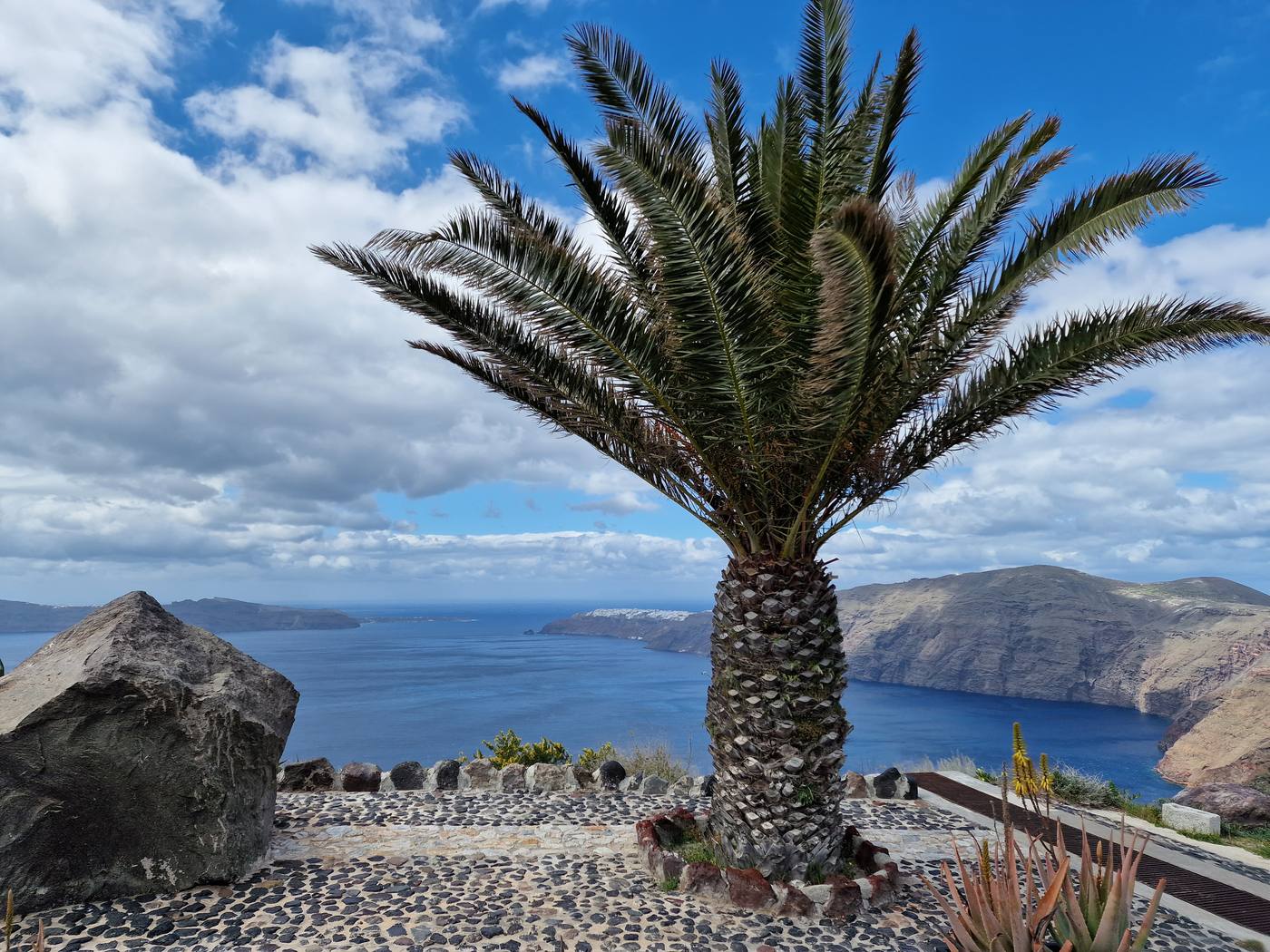 A caldera-rim viewpoint with a palm tree framing the wide sweep of sea and cliffs toward the north of the island